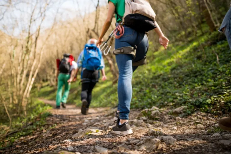 People hiking in forest