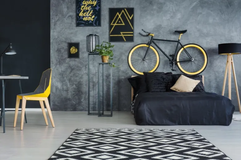 bicycle above sofa