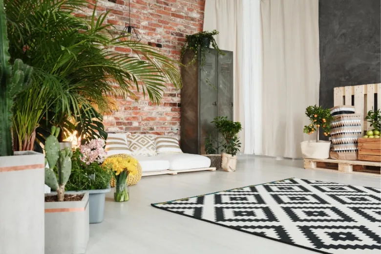 plants on the floor in a living room