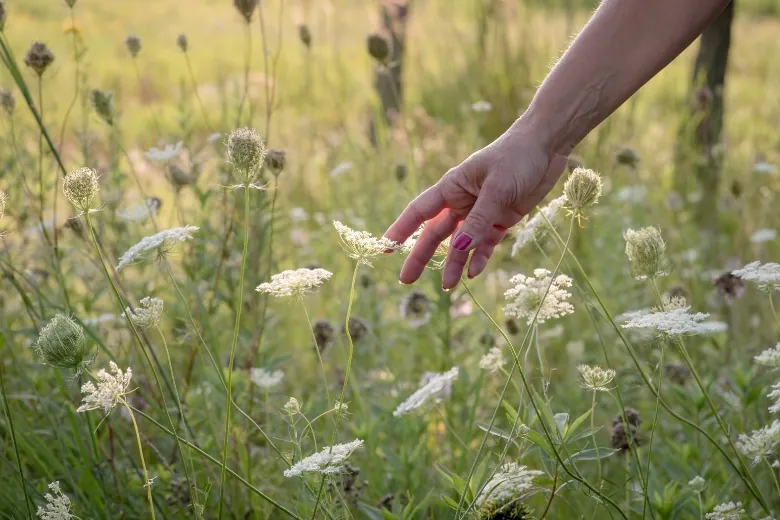 hand grabbing flower